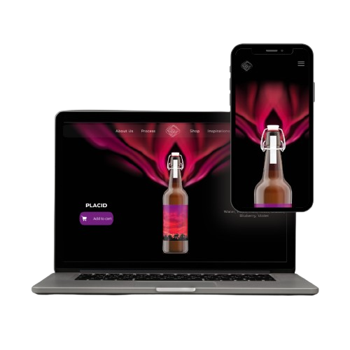Capture d'écran du projet Site Web de la marque de bière Quantum